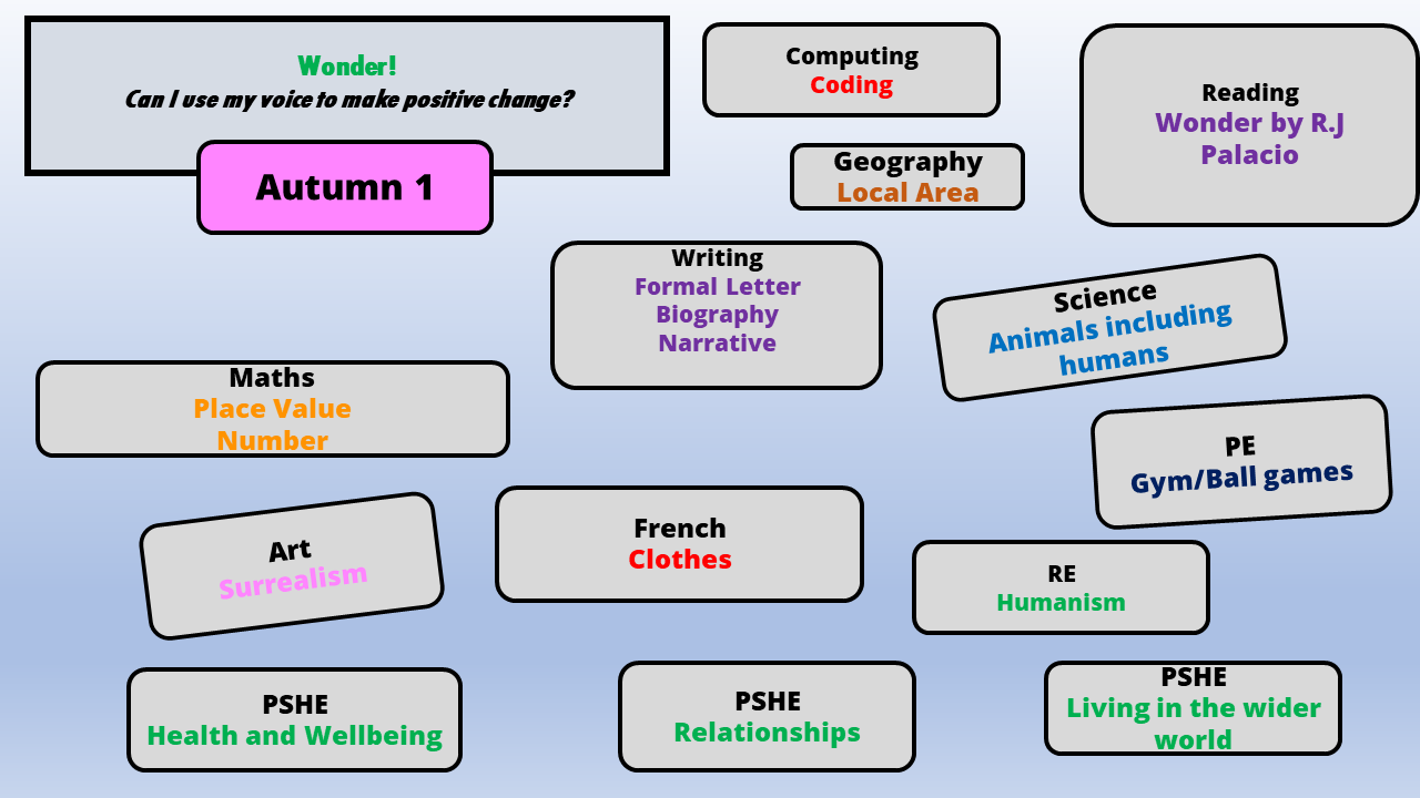 Y6 A1Website Overview